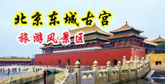 鸡巴太大了好大好爽好硬全部插进去了还想要好爽视频在线免费看中国北京-东城古宫旅游风景区
